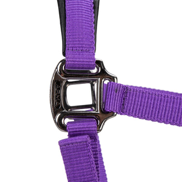 Shires ARMA Pro Padded Headcollar Purple| Online For Equine