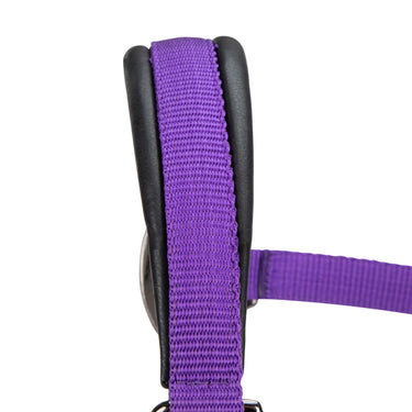 Shires ARMA Pro Padded Headcollar Purple| Online For Equine