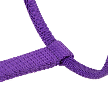 Shires ARMA Pro Padded Headcollar Purple| Online For Equine
