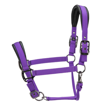 Shires ARMA Pro Padded Headcollar Purple| Online For Equine