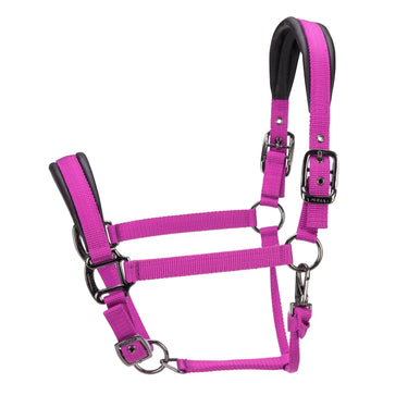 Shires ARMA Pro Padded Headcollar Raspberry| Online For Equine