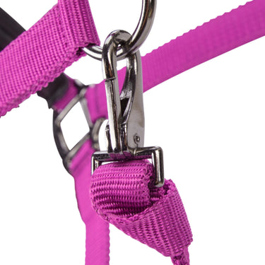 Shires ARMA Pro Padded Headcollar Raspberry| Online For Equine