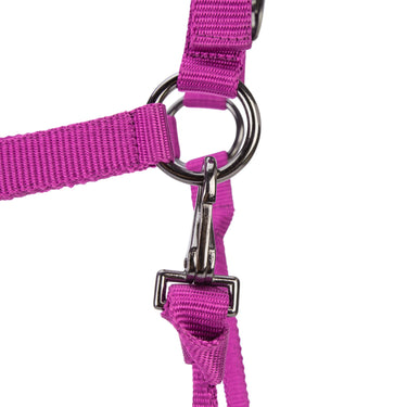 Shires ARMA Pro Padded Headcollar Raspberry| Online For Equine