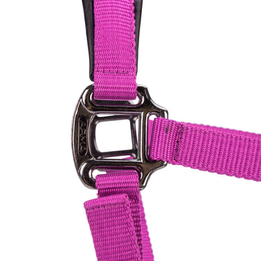 Shires ARMA Pro Padded Headcollar Raspberry| Online For Equine