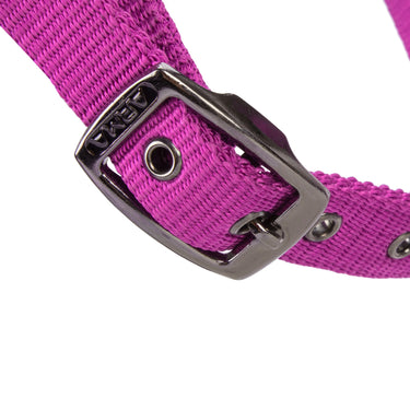 Shires ARMA Pro Padded Headcollar Raspberry| Online For Equine