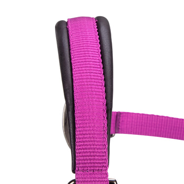 Shires ARMA Pro Padded Headcollar Raspberry| Online For Equine