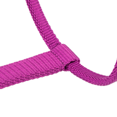 Shires ARMA Pro Padded Headcollar Raspberry| Online For Equine