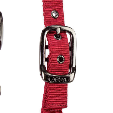 Shires ARMA Pro Padded Headcollar Red| Online For Equine