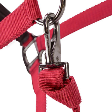 Shires ARMA Pro Padded Headcollar Red| Online For Equine