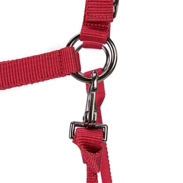 Shires ARMA Pro Padded Headcollar Red| Online For Equine