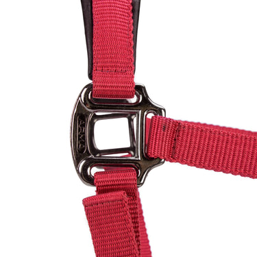Shires ARMA Pro Padded Headcollar Red| Online For Equine
