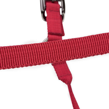Shires ARMA Pro Padded Headcollar Red| Online For Equine