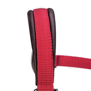 Shires ARMA Pro Padded Headcollar Red| Online For Equine