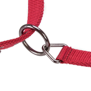 Shires ARMA Pro Padded Headcollar Red| Online For Equine