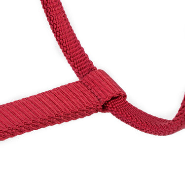 Shires ARMA Pro Padded Headcollar Red| Online For Equine
