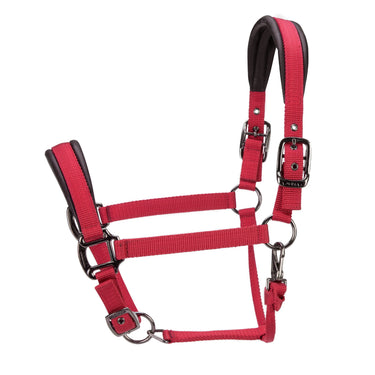 Shires ARMA Pro Padded Headcollar Red| Online For Equine