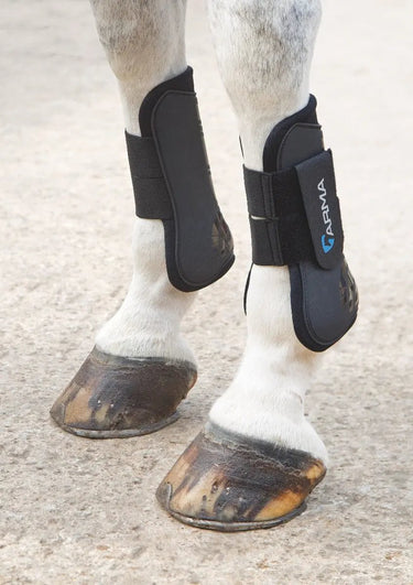 Buy Shires ARMA Tendon Boots| Online for Equine