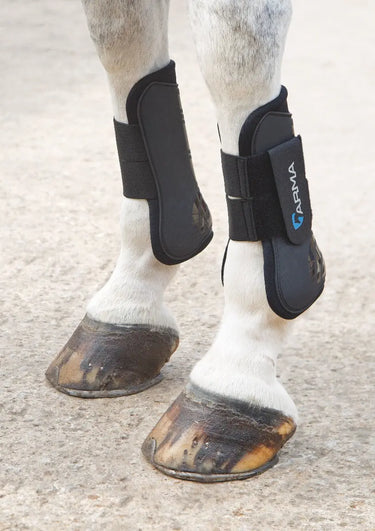 Buy Shires ARMA Tendon Boots| Online for Equine