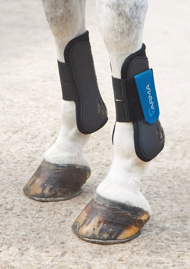 Buy Shires ARMA Tendon Boots| Online for Equine