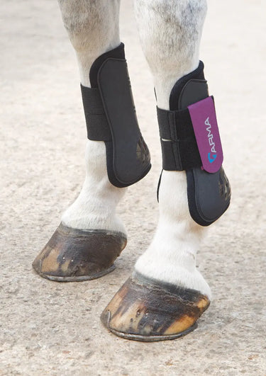 Buy Shires ARMA Tendon Boots| Online for Equine