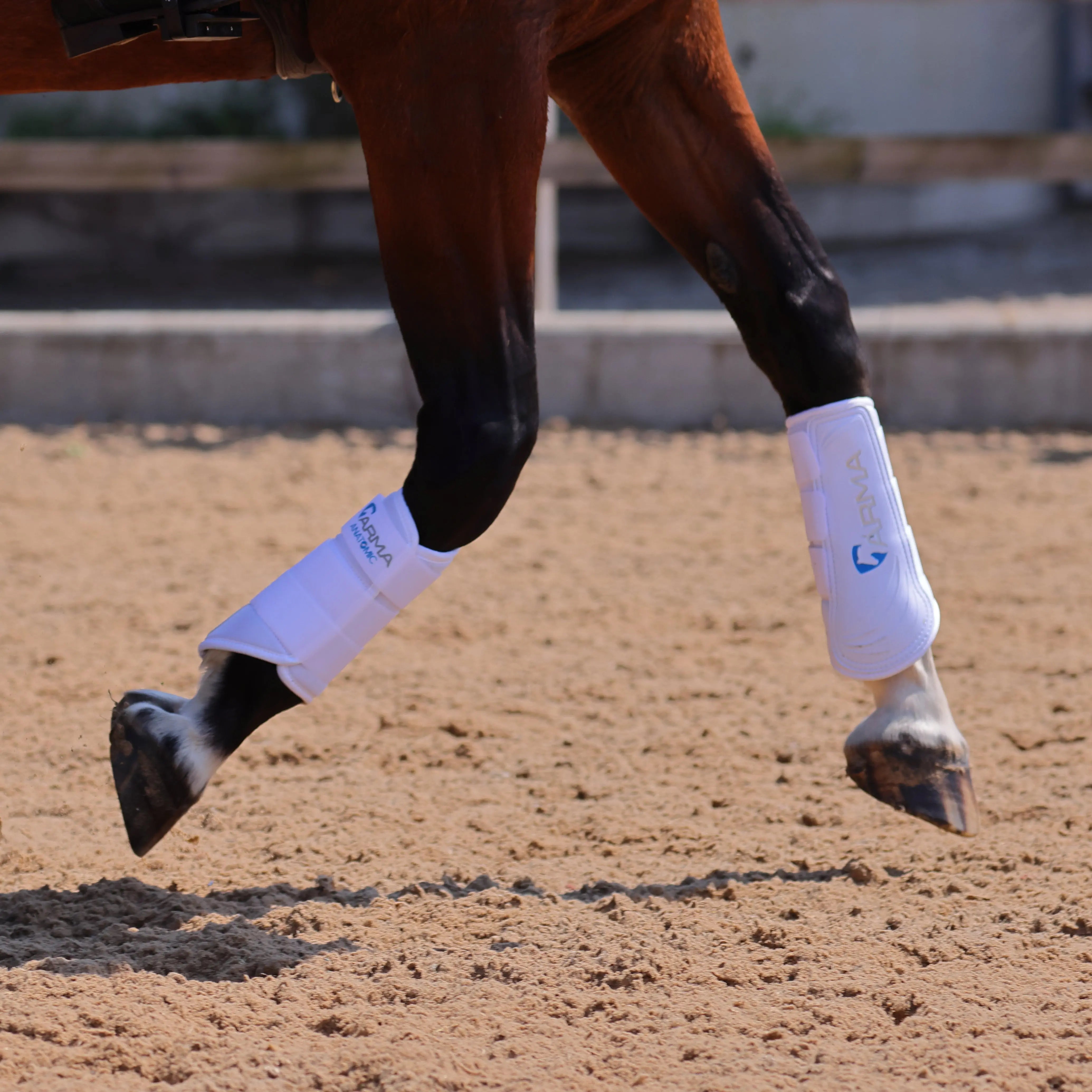 Shires Boot Tree Buy the Shires ARMA White Neoprene Brushing Boots | Online for Equine ...