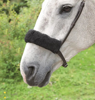 Buy Shires Acrilan Noseband Sleeve| Online for Equine