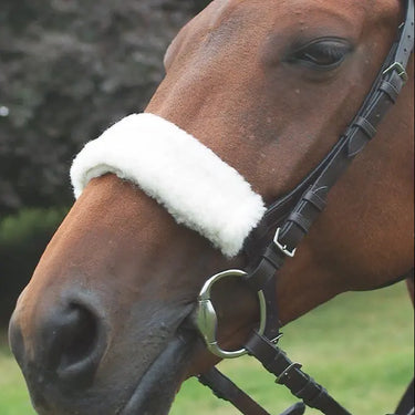 Shires Acrilan Noseband Sleeve| Online For Equine