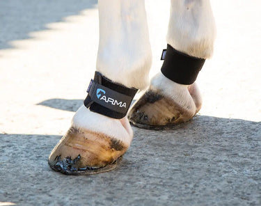 Buy Shires Arma Pastern Wraps-One Size-Black| Online for Equine
