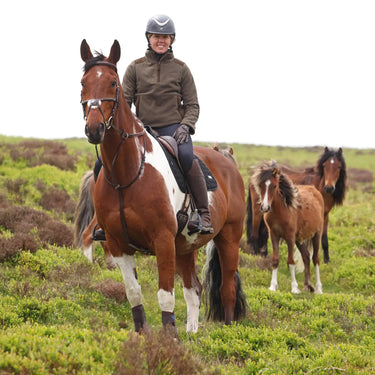 Shires Aubrion Heritage Quarter Zip Showerproof Unisex Fleece| Online For Equine