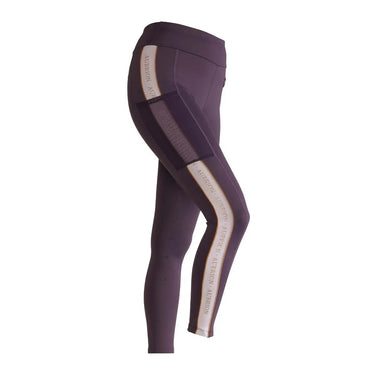 Buy Shires Aubrion Team Shield Grey Riding Tights| Online for Equine