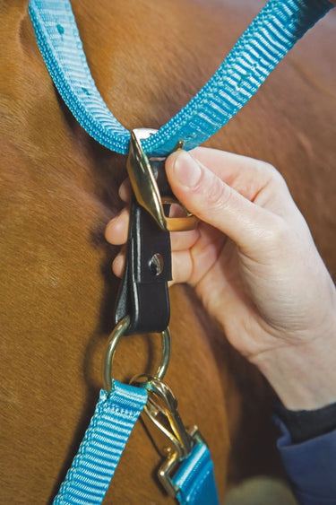 Buy Shires Aviemore Headcollar Breakaway Attachment| Online for Equine