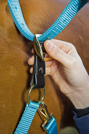 Shires Aviemore Headcollar Breakaway Attachment| Online For Equine