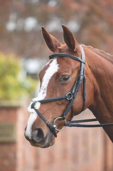 Buy Shires Aviemore Mexican Bridle| Online for Equine