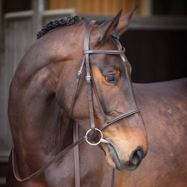 Shires Aviemore Raised Cavesson Bridle| Online For Equine