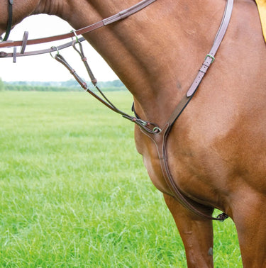 Buy Shires Avignon Breastplate| Online for Equine