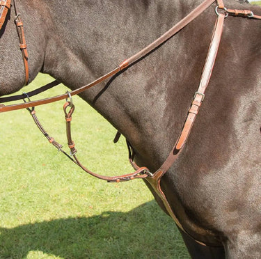 Buy Shires Avignon Breastplate| Online for Equine