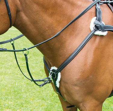 Buy Shires Avignon Five Point Breastplate| Online for Equine