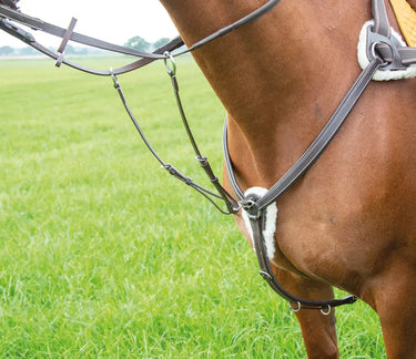 Buy Shires Avignon Five Point Breastplate| Online for Equine