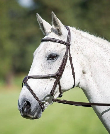Buy Shires Avignon Grackle Bridle| Online for Equine