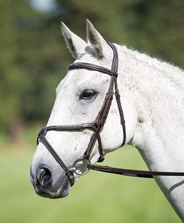 Buy Shires Avignon Grackle Bridle| Online for Equine
