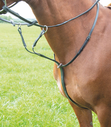 Buy Shires Avignon Running Martingale | Online for Equine