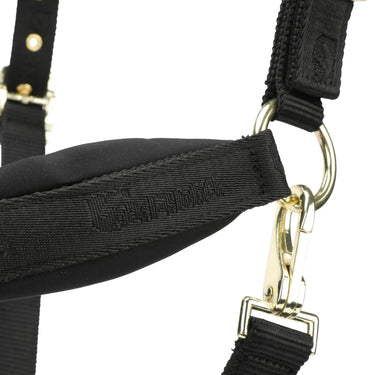 Shires Black ARMA Padded Headcollar| Online For Equine