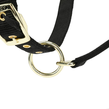 Shires Black ARMA Padded Headcollar| Online For Equine