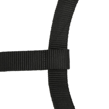 Shires Black ARMA Padded Headcollar| Online For Equine