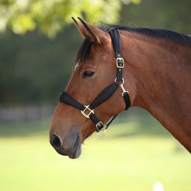 Shires Black ARMA Padded Headcollar| Online For Equine