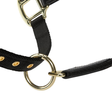 Shires Black ARMA Porto Headcollar| Online For Equine