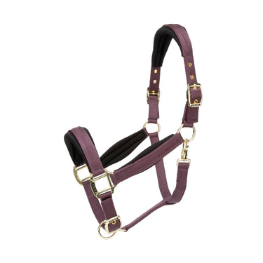 Shires Black Cherry ARMA Padded Headcollar| Online For Equine