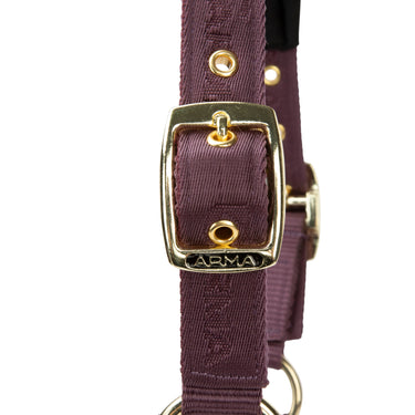 Shires Black Cherry ARMA Padded Headcollar| Online For Equine