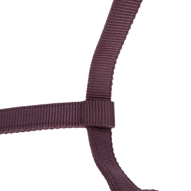 Shires Black Cherry ARMA Padded Headcollar| Online For Equine