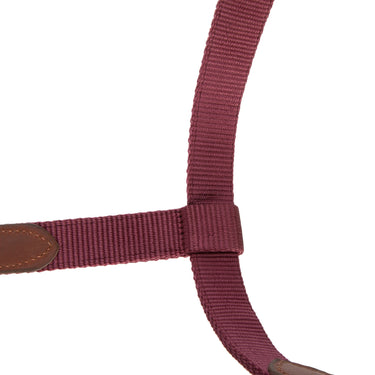 Shires Black Cherry ARMA Porto Headcollar| Online For Equine